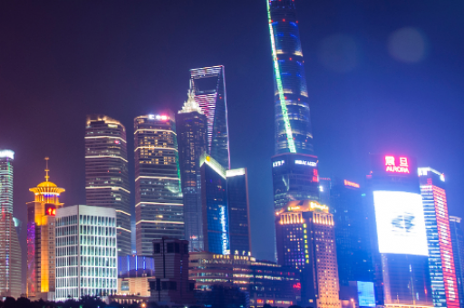 上海新龙凤论坛(上海新龙凤论坛：全方位呈现城市风貌)